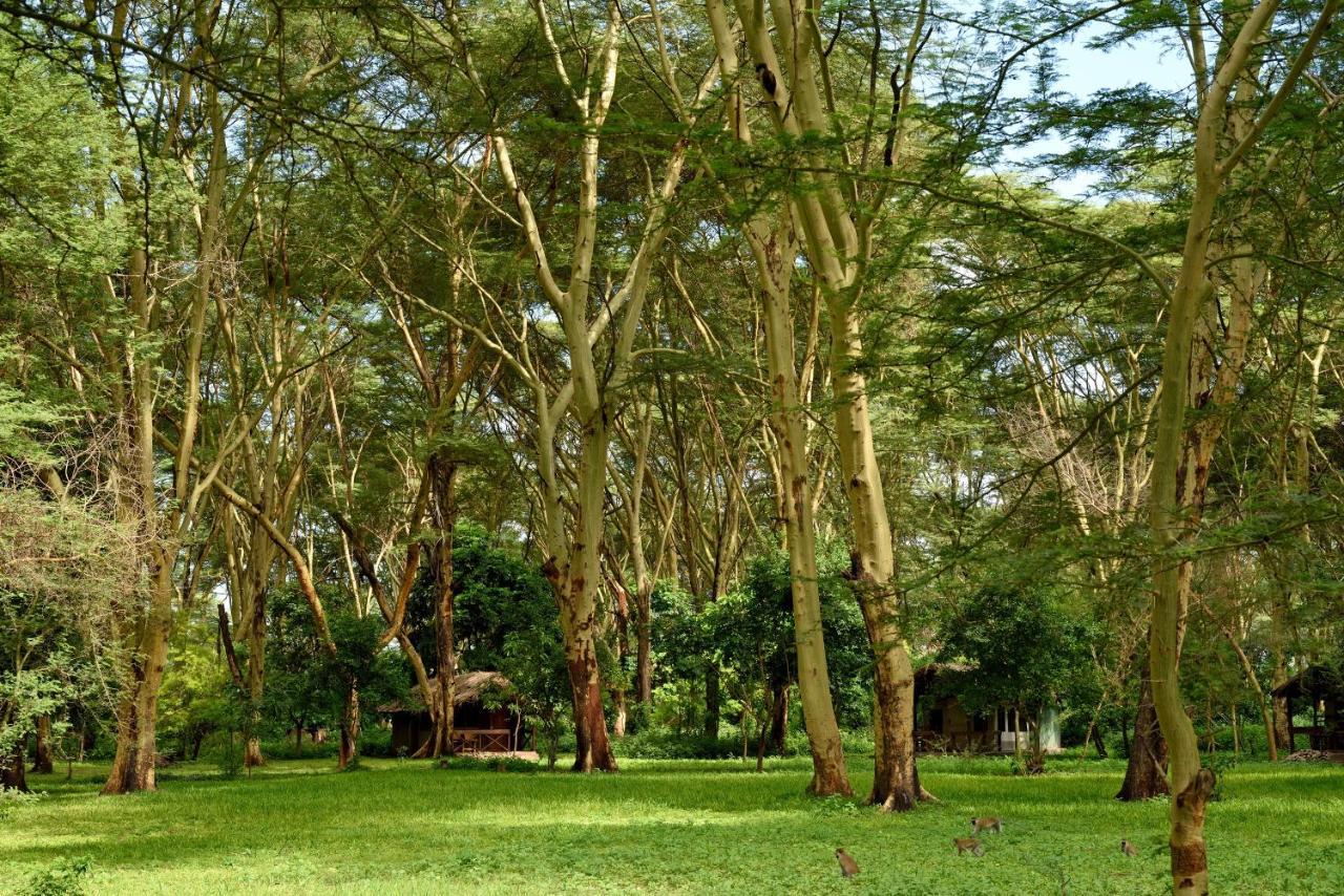 Migunga Tented Camp Mto wa Mbu 外观 照片