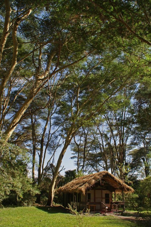 Migunga Tented Camp Mto wa Mbu 外观 照片