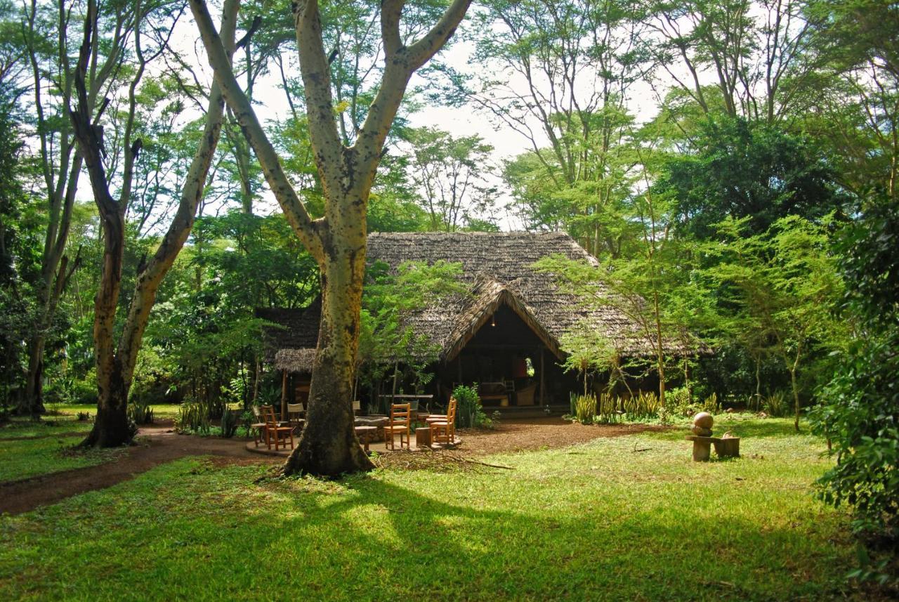 Migunga Tented Camp Mto wa Mbu 外观 照片